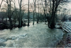 Munich-Dagstul-22