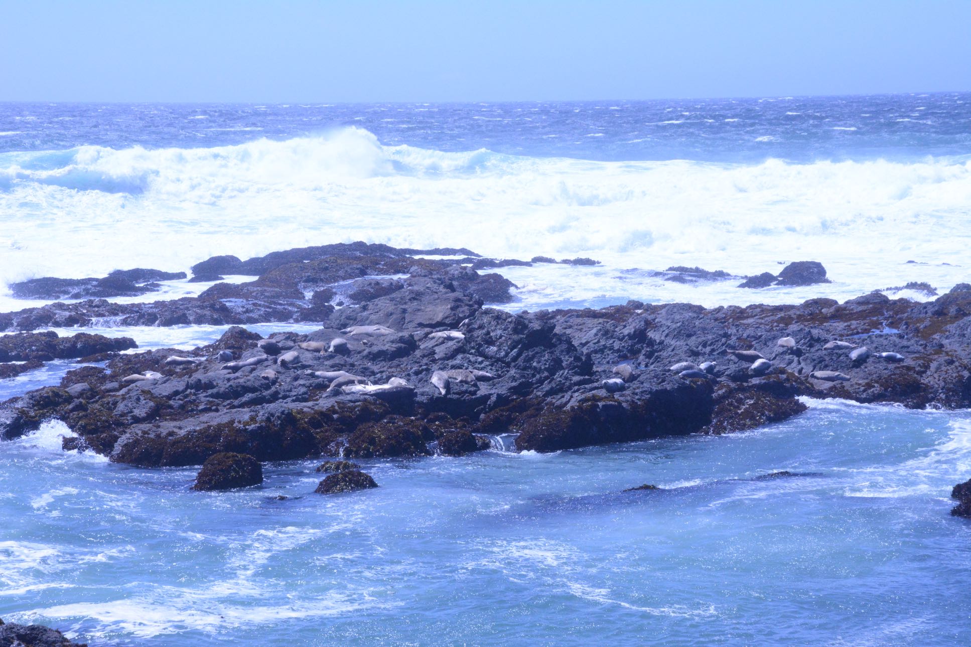 DSC_4601
