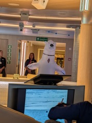 Polar Bear Onboard!