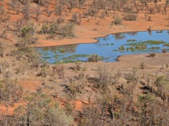PXL_20261003_055252892