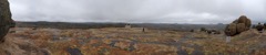PXL_20261001_150601786.PANO