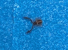 KM-PXL_20260803_184012429